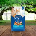 Alimento-Gato-Adulto-marca-Purina-Cat-Chow-Pescado-9kg-8-14111