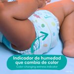 Pa-ales-Marca-Pampers-Baby-Dry-Talla-1-4-6kg-44Uds-6-857