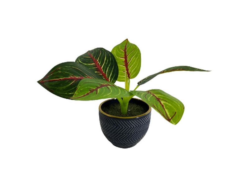 Planta-Mainstays-Artificial-Azul-Con-Borde-Dorado-1-24065