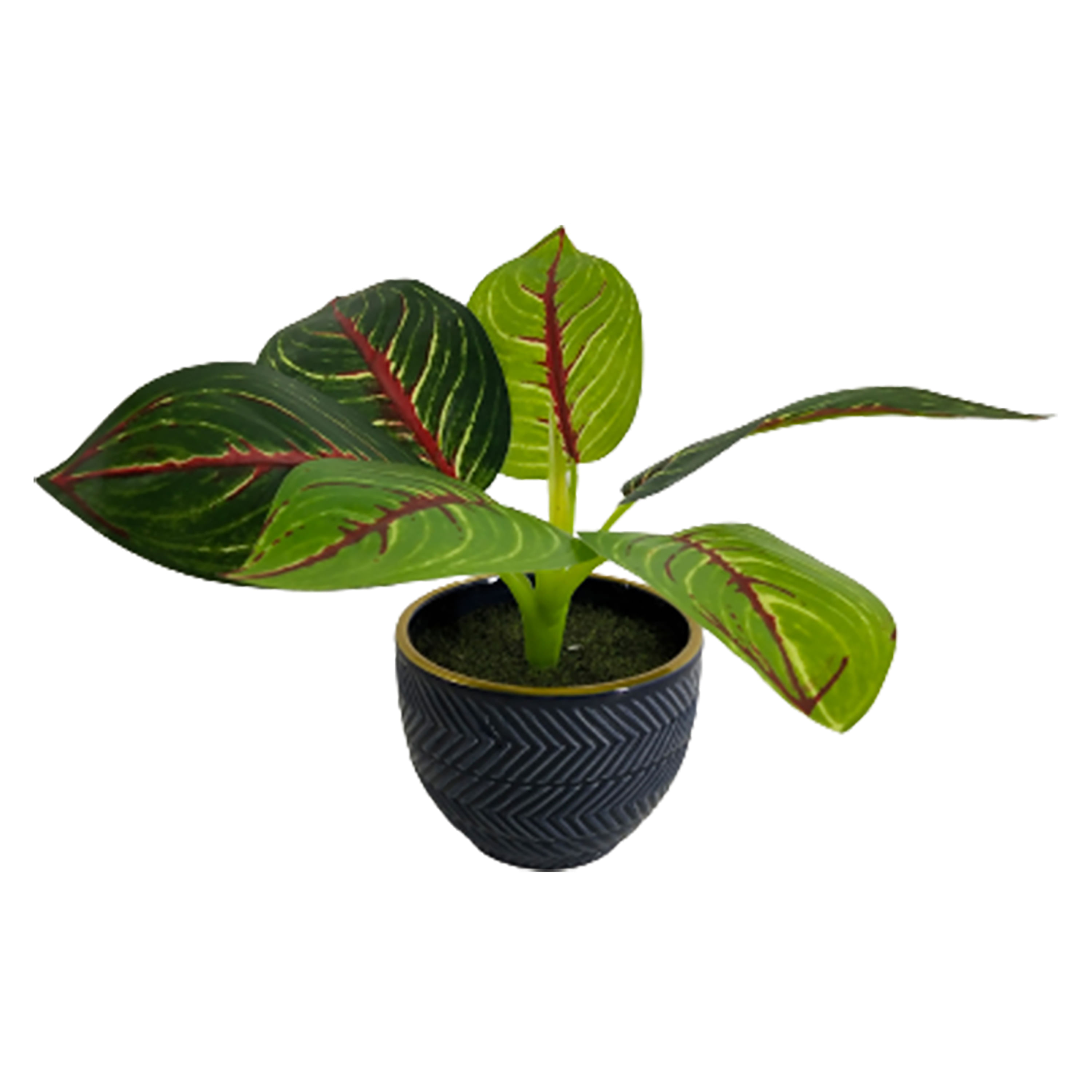 Planta-Mainstays-Artificial-Azul-Con-Borde-Dorado-1-24065