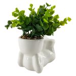 Planta-Mainstays-Artificial-Con-Maceta-De-Ceramica-1-24071