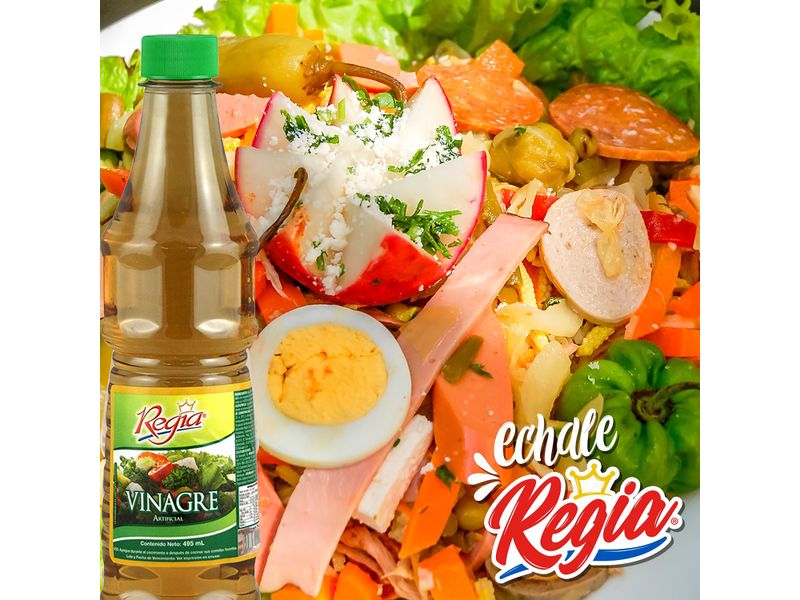 Vinage-Tinto-Marca-Regia-495ml-4-6121