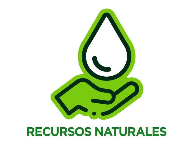 Melon-Golden-Hurtifruti-Unidad-10-27065