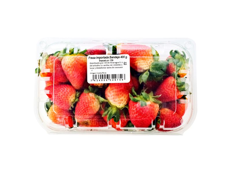 Fresa-Hortifruti-Importada-Bandeja-400gr-1-23986