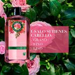 Shampoo-Herbal-Essences-Smooth-Rose-Hips-865-ml-4-23049