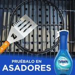 Lavaplatos-Marca-Dawn-Platinum-Powerwash-Aroma-Fresco-473ml-16-28213