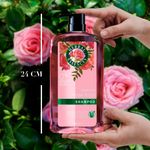 Shampoo-Herbal-Essences-Smooth-Rose-Hips-865-ml-10-23049