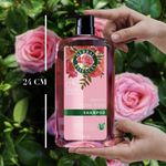 Shampoo-Herbal-Essences-Smooth-Rose-Hips-865-ml-11-23049