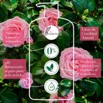 Shampoo-Herbal-Essences-Smooth-Rose-Hips-865-ml-9-23049