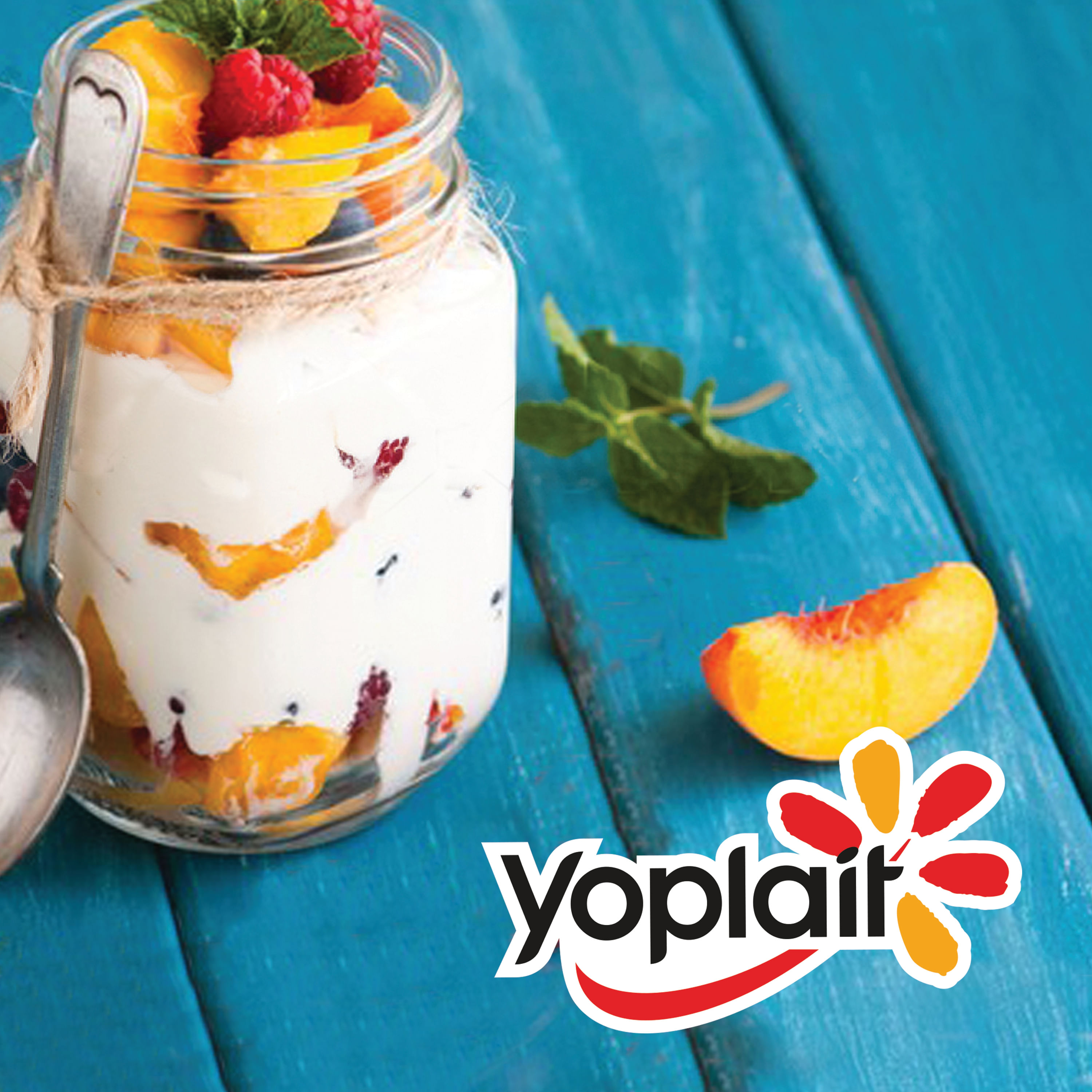 Comprar Yogurt Yoplait Natural - 500Gr | Walmart Nicaragua