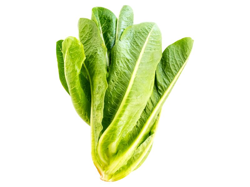 Lechuga-Romana-Hortifruti-Bolsa-2-24691