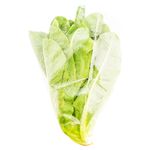 Lechuga-Romana-Hortifruti-Bolsa-3-24691