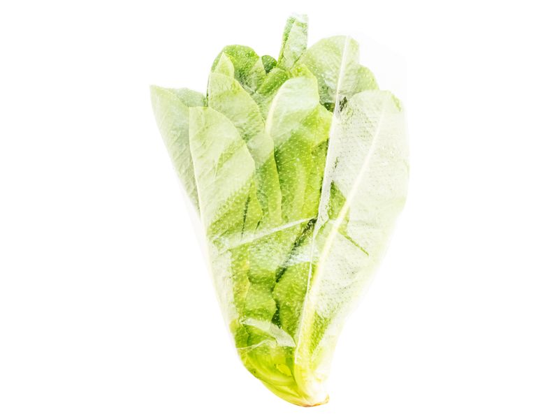 Lechuga-Romana-Hortifruti-Bolsa-3-24691