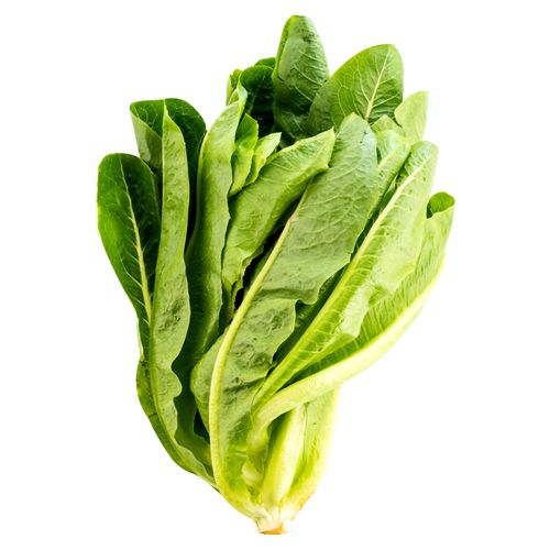 Lechuga Romana Hortifruti Bolsa