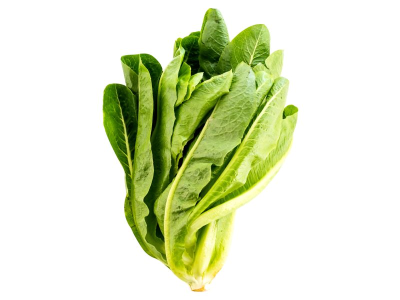 Lechuga-Romana-Hortifruti-Bolsa-1-24691