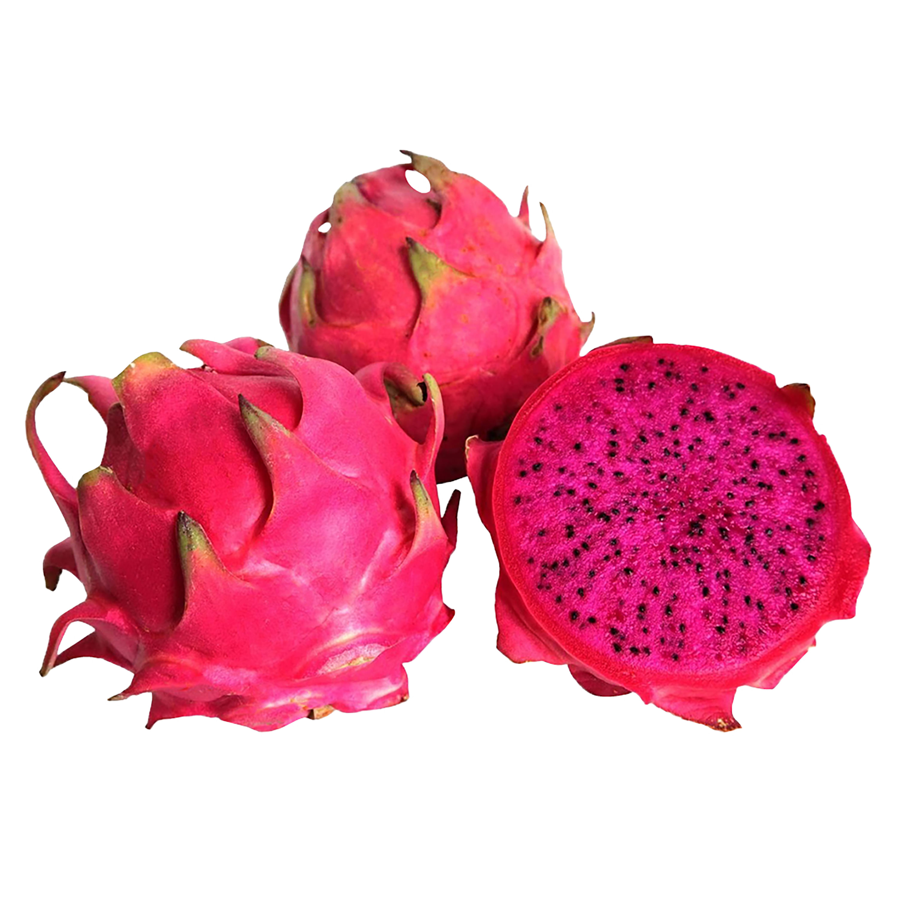 Pitahaya-Nacional-Unidad-1-28627