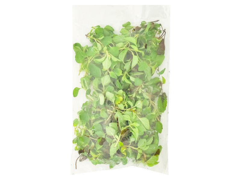 Oregano-Hortifruti-2-25675