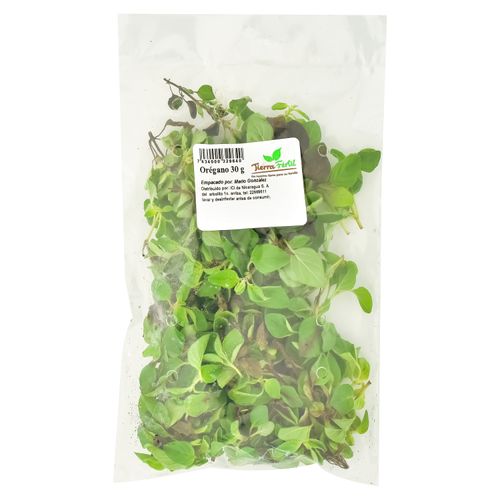 Oregano Hortifruti