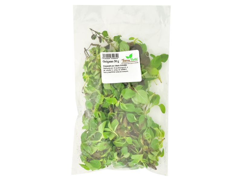 Oregano-Hortifruti-1-25675