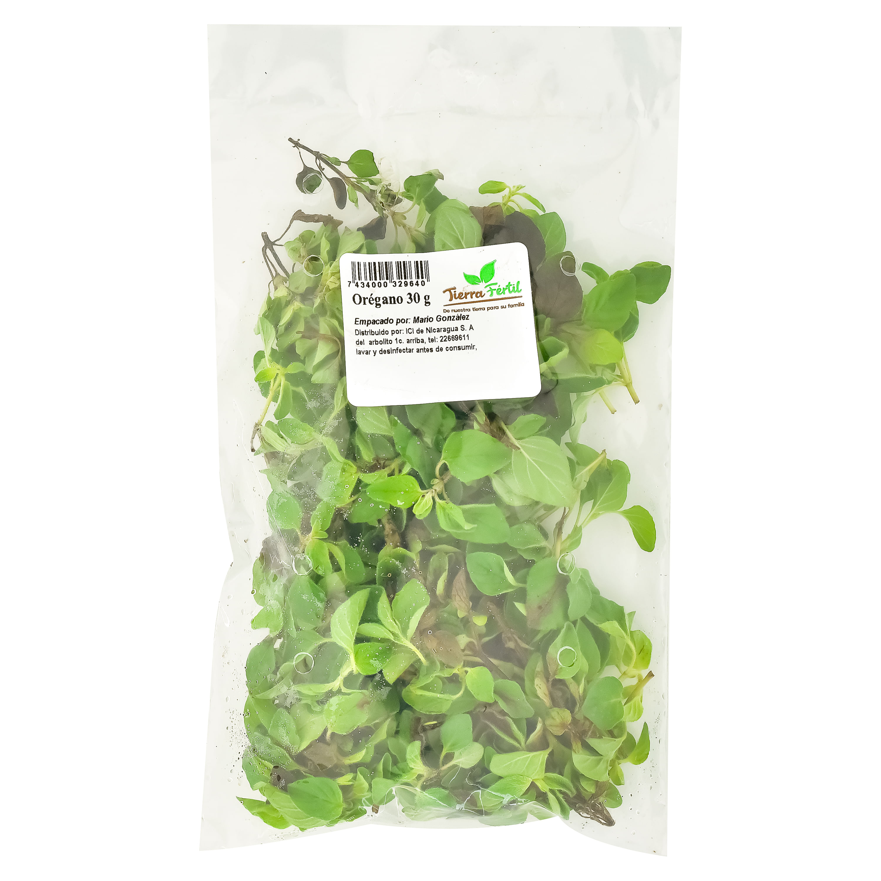 Oregano-Hortifruti-1-25675