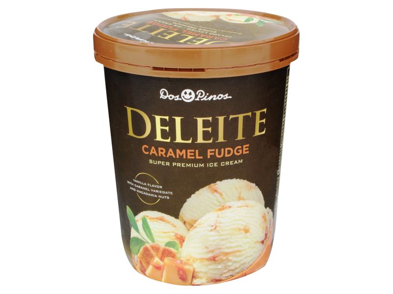 Helado-Dos-Pinos-Deleite-Caramelo-Fudge-565-gr-1-7536