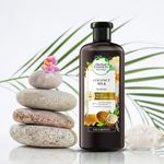 Shampoo-Herbal-Essences-Bio-Renew-Coconut-Milk-400ml-10-2159