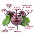 Ciruela-Hurtifruti-Libra-3-27069