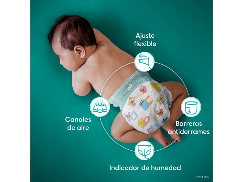 Pa-ales-Pampers-Baby-Dry-Talla-3-104-Uds-8-865