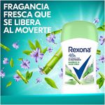 Desodorante-Rexona-Caballero-Bamboo-Y-Aloe-Vera-Barra-45g-6-18742