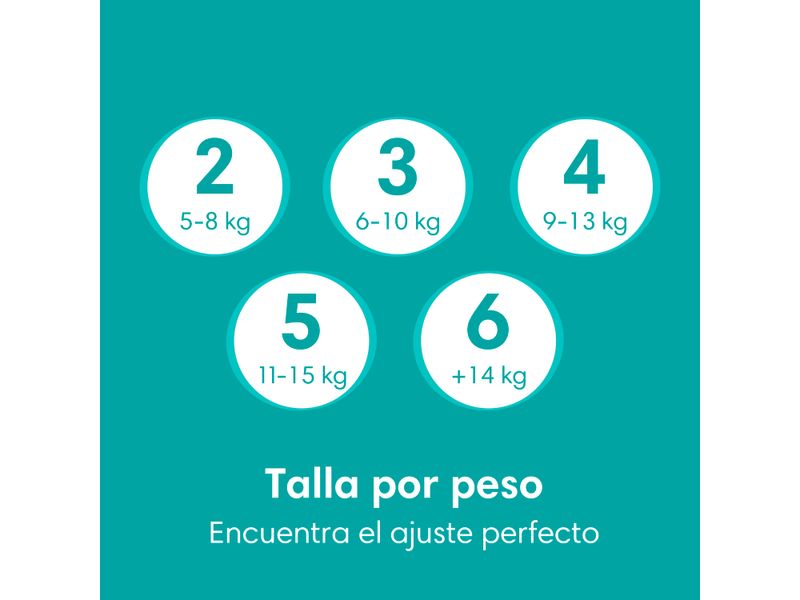 Pa-ales-Pampers-Baby-Dry-Talla-4-92-Uds-3-866