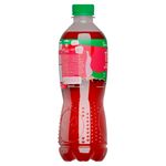 Te-Rojo-Arandano-Dos-Pinos-Botella-Pet-500ml-3-20209