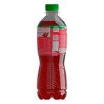 Te-Rojo-Arandano-Dos-Pinos-Botella-Pet-500ml-4-20209