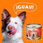 Alimento-Humedo-Dogui-Para-Perro-Atun-295gr-8-29430