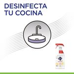 Desinfectante-Limpiador-Family-Guard-Citrus-Multisuperficies-650ml-6-8973