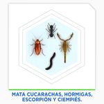 Insecticida-Raid-Max-Mata-Cucarachas-E-Insectos-Rastreros-En-Aerosol-Protecci-n-De-La-Cocina-285ml-4-8985