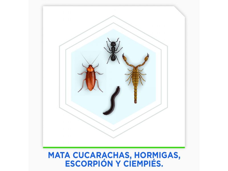 Insecticida-Raid-Max-Mata-Cucarachas-E-Insectos-Rastreros-En-Aerosol-Protecci-n-De-La-Cocina-285ml-4-8985