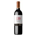 Vino-Tinto-Santa-Rita-120-Carmenere-750ml-2-25799