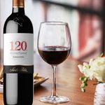 Vino-Tinto-Santa-Rita-120-Carmenere-750ml-4-25799