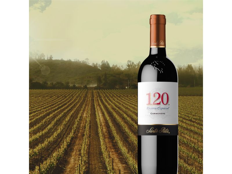 Vino-Tinto-Santa-Rita-120-Carmenere-750ml-5-25799