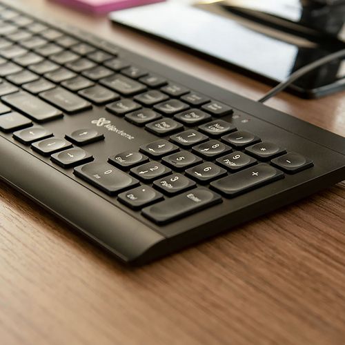 Teclado Klip Xtreme 252S Usb Espa