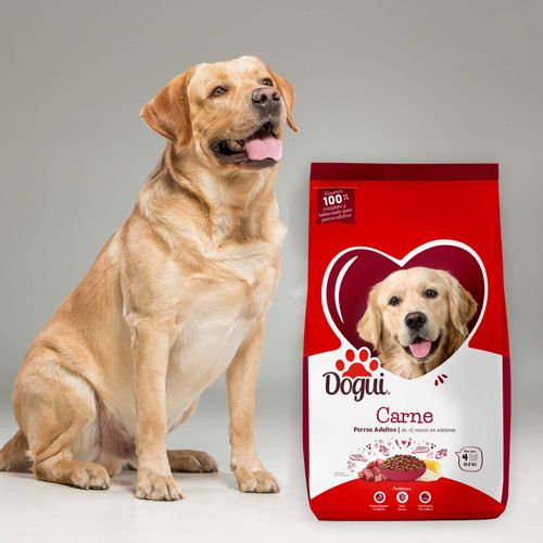 Alimento Dogui Perro Adulto Sabor Carne Y Arroz, 18 Meses En Adelante - 4kg