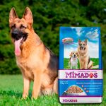 Alimento-Mimados-Perro-Adulto-Todas-Las-Razas-22-7kg-8-17044