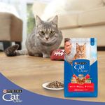 Alimento-Seco-Gato-Adulto-Purina-Cat-Chow-Carne-1-5kg-6-19464