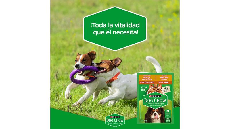 Comida Húmeda Para Perro Dog Chow Minis Y Pequeños Cordero X 100 Gr -  Supermascotas