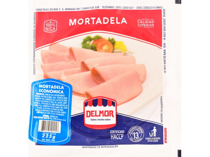 Mortadela-Delmor-Economica-225gr-1-27116