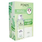 Ponds-Pk-Fruit-Aloe-Mas-Gel-Hidra-110G-2-31411