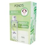 Ponds-Pk-Fruit-Aloe-Mas-Gel-Hidra-110G-3-31411