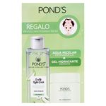 Ponds-Pk-Fruit-Aloe-Mas-Gel-Hidra-110G-1-31411