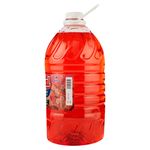 Jabon-L-quido-Doral-Aroma-Fresas-3785ml-2-26861