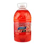 Jabon-L-quido-Doral-Aroma-Fresas-3785ml-1-26861